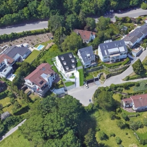 Leonberg Green Hills